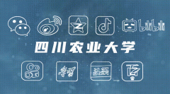 术上堆集的审美经验让她的最终报告请示脱颖而